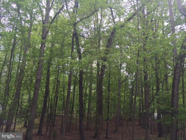 500 Gold Valley Road Locust Grove, VA 22508 - Photo 1 of 9 Nice wooded lot