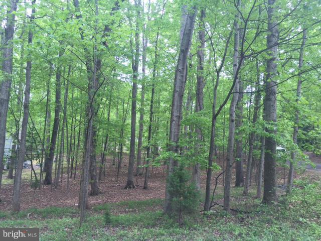 500 Gold Valley Road Locust Grove, VA 22508 - Photo 2 of 9 Your dream home here