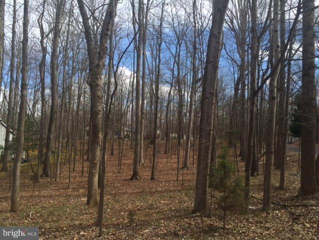 500 Gold Valley Road Locust Grove, VA 22508 - Photo 3 of 9 Beautiful Lot for your dream home