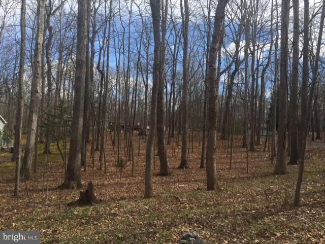 500 Gold Valley Road Locust Grove, VA 22508 - Photo 4 of 9 Picture your new home here,