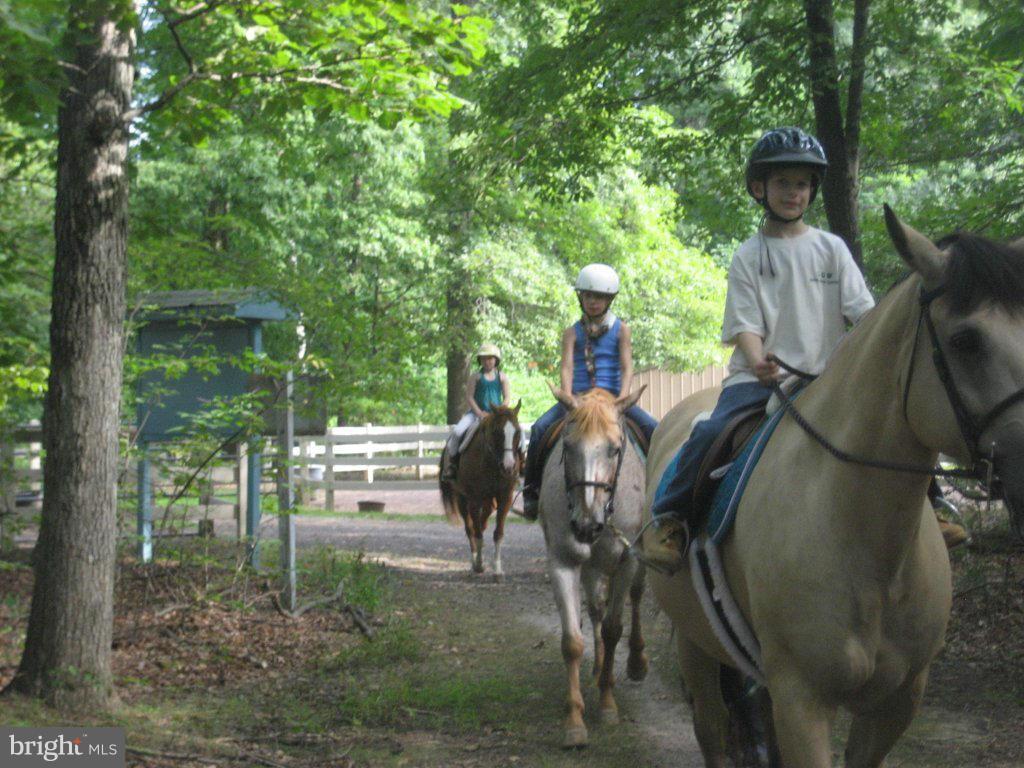 500 Gold Valley Road Locust Grove, VA 22508 - Photo 8 of 9 Lake of the Woods Equestrian Center