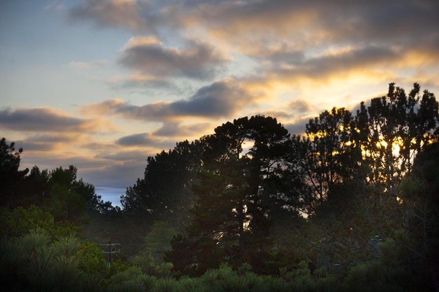 491 Pine Needles Drive Del Mar, CA 92014 - Photo 7 of 22