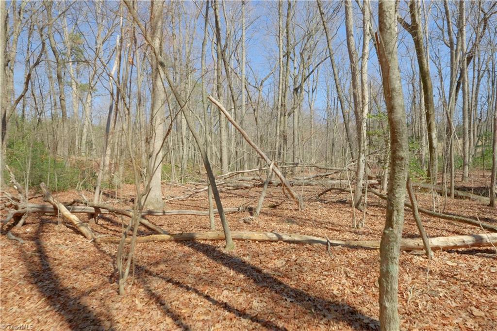 6 Old Mill Road Pinnacle, NC 27043 - Photo 13 of 29
