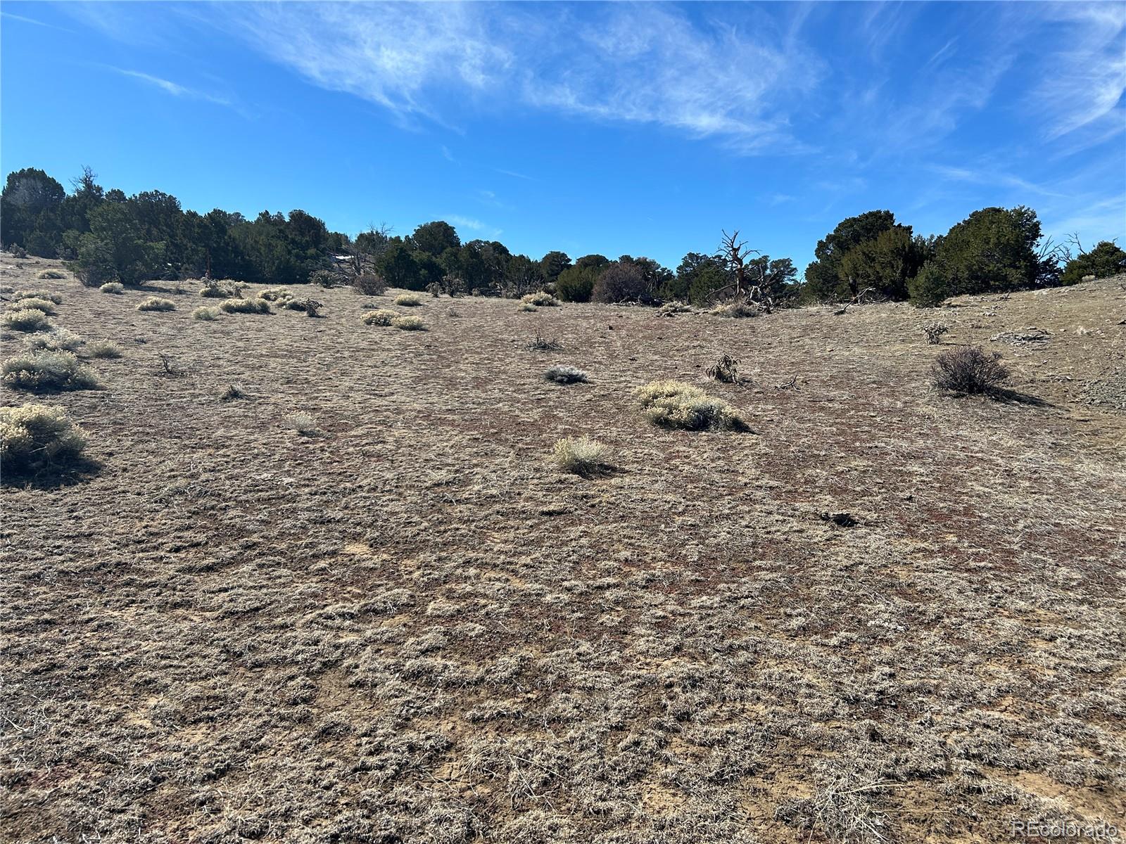 Lot 26 Tioga Ranch Walsenburg, CO 81089 - Photo 18 of 24 Gallery Image 18