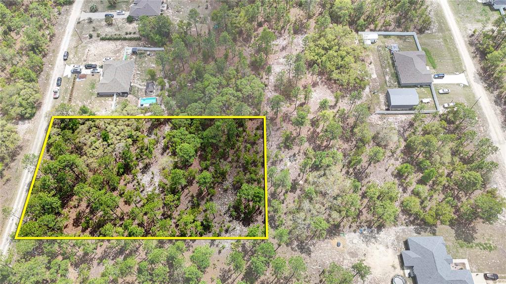 Tbd Southwest 137th Ct Road Dunnellon, FL 34432 - Photo 8 of 19