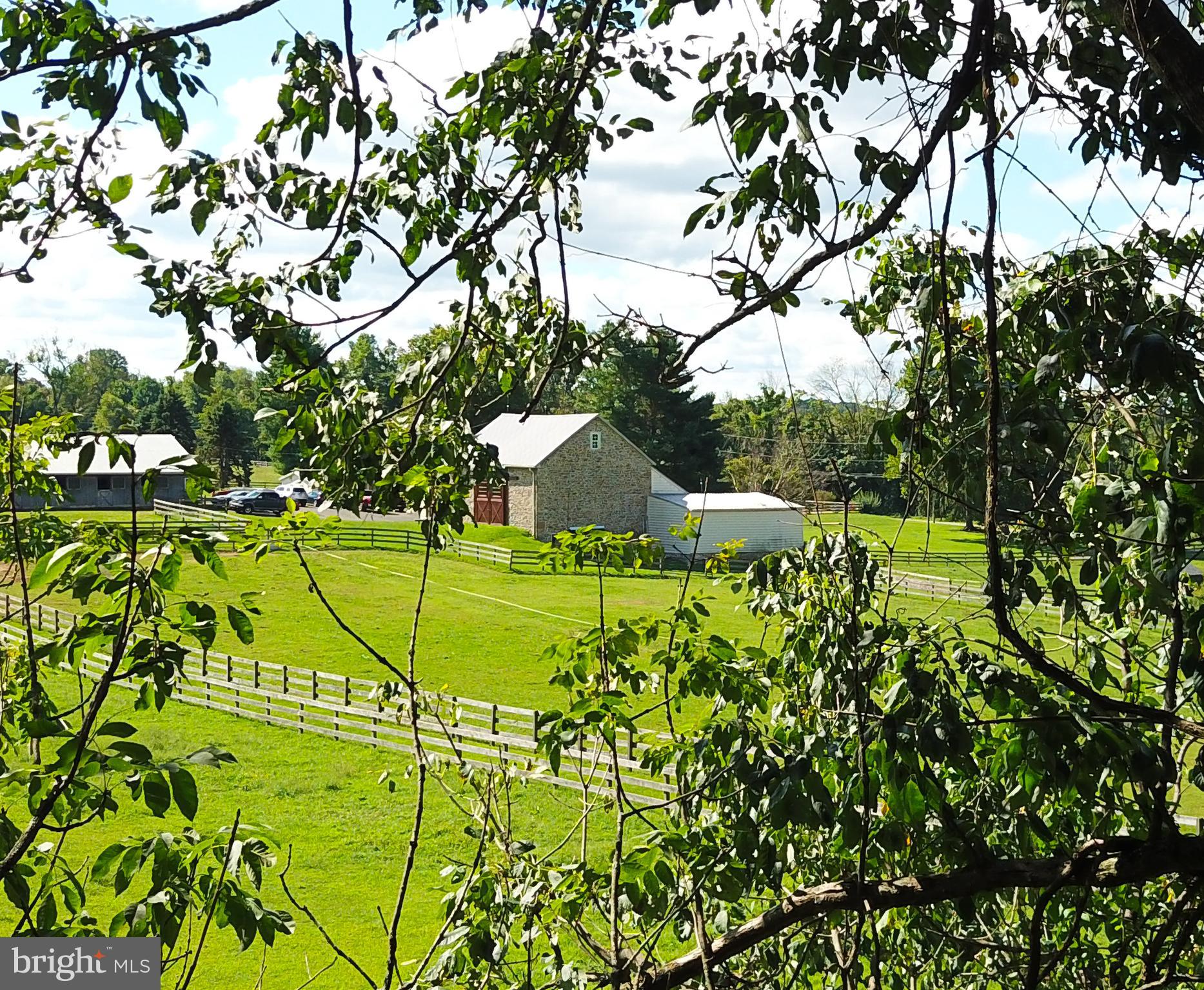 2850 Flowing Springs Road Spring City, PA 19475 - Photo 8 of 25 Chester County View of Horse Farm next door