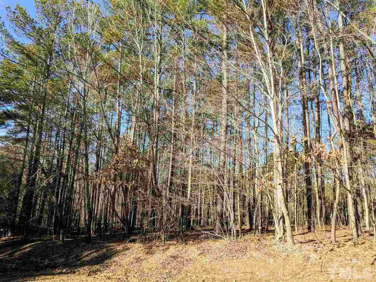 6020 Wild Orchid Trail Raleigh, NC 27613 - Photo 25 of 26