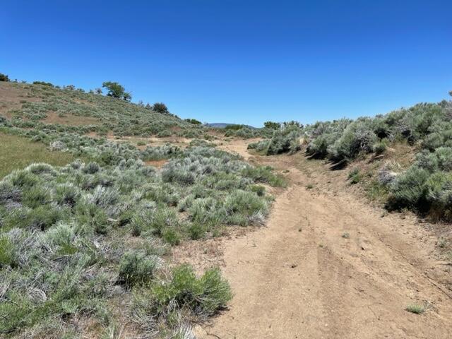 Neuchatel Way Tehachapi, CA 93561 - Photo 25 of 26 IMG_6147
