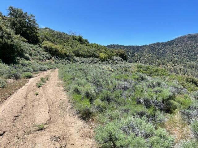 Neuchatel Way Tehachapi, CA 93561 - Photo 26 of 26 IMG_6146