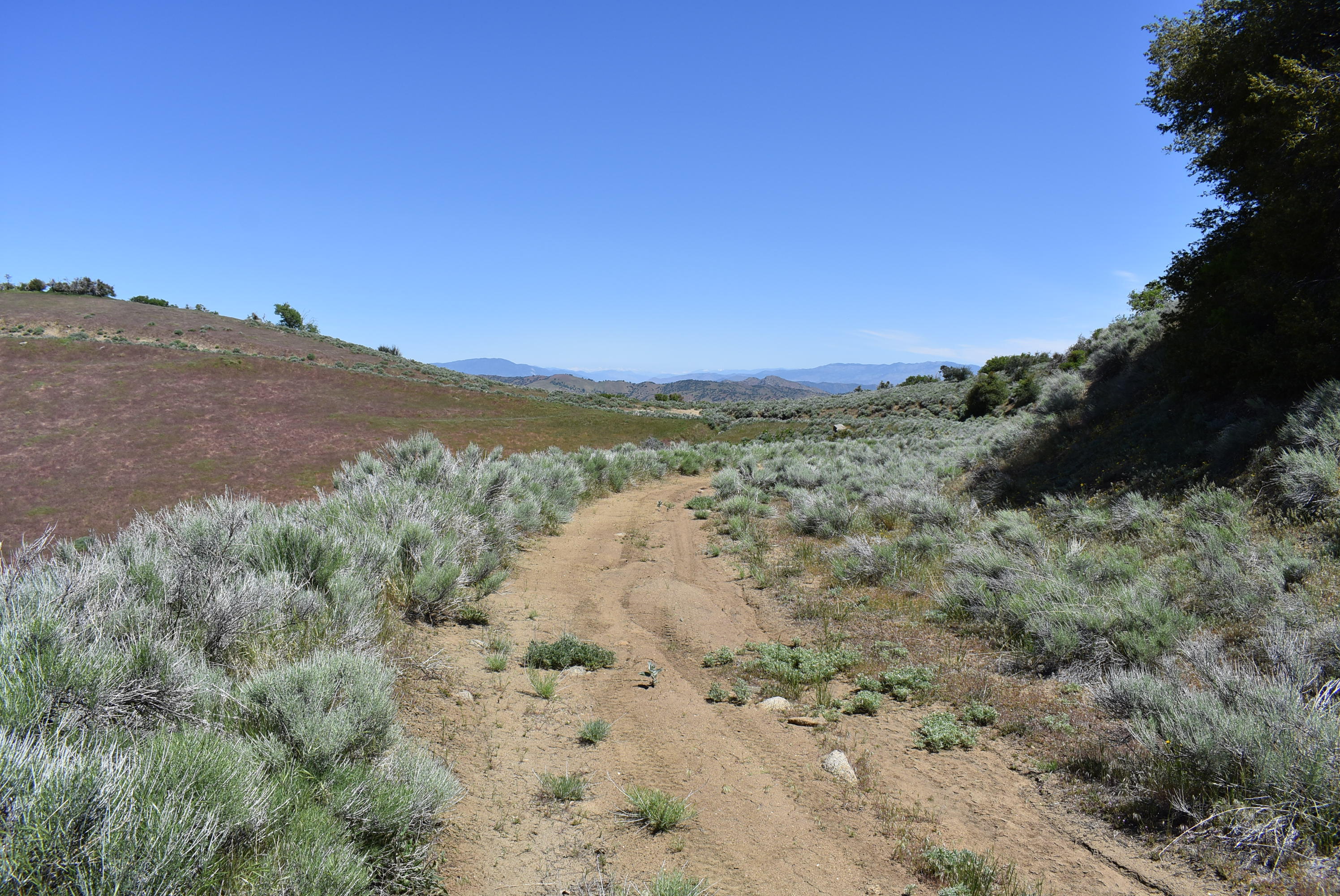 Neuchatel Way Tehachapi, CA 93561 - Photo 8 of 26 DSC_1034