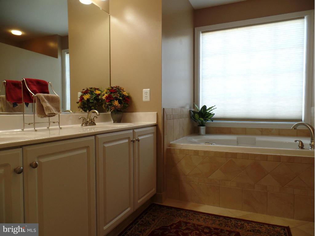 8504 Ellicott View Road Ellicott City, MD 21043 - Photo 17 of 30 Bath (Master)