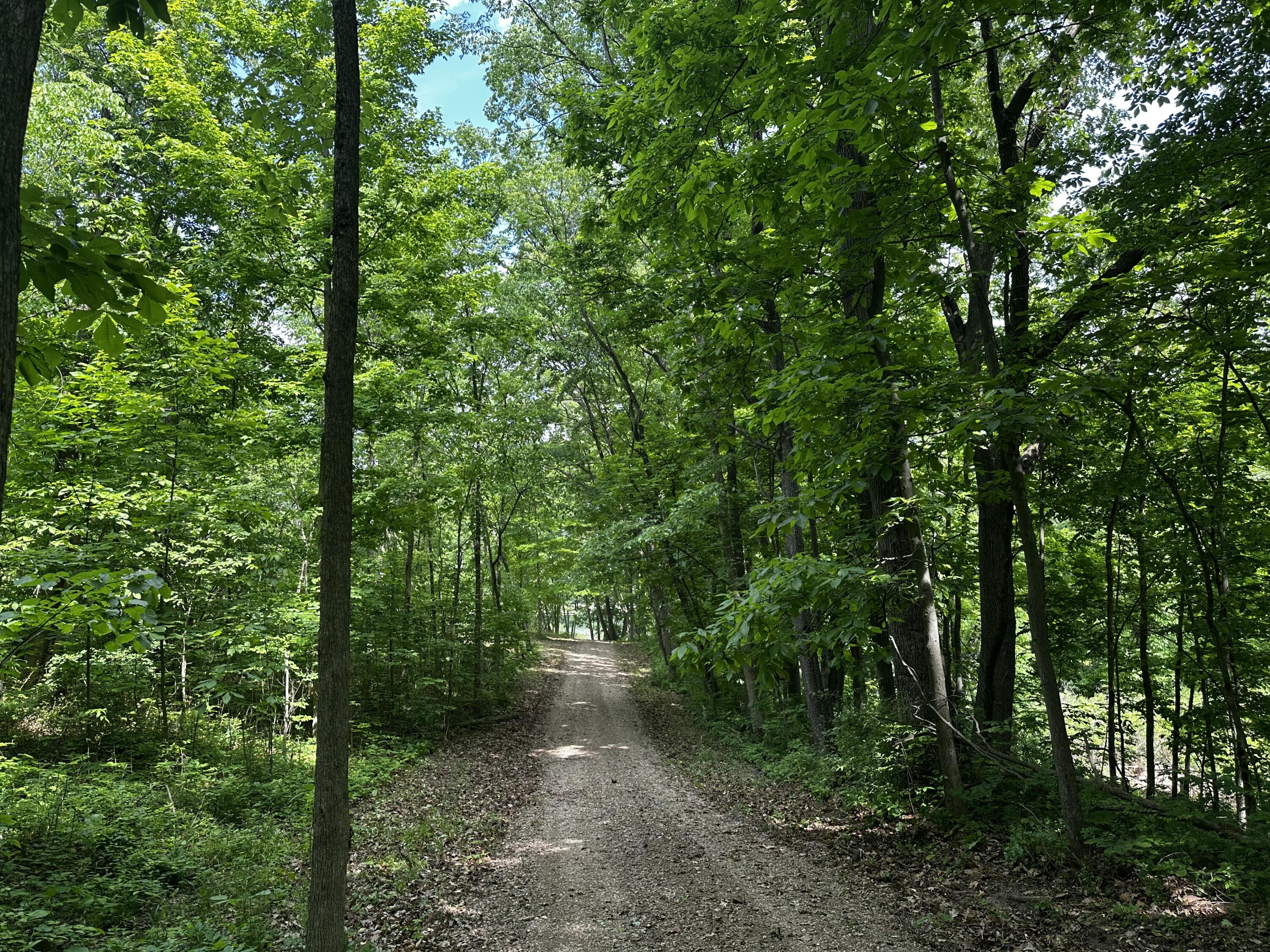 South Norris Road Delton, MI 49046 - Photo 2 of 13 IMG_0951