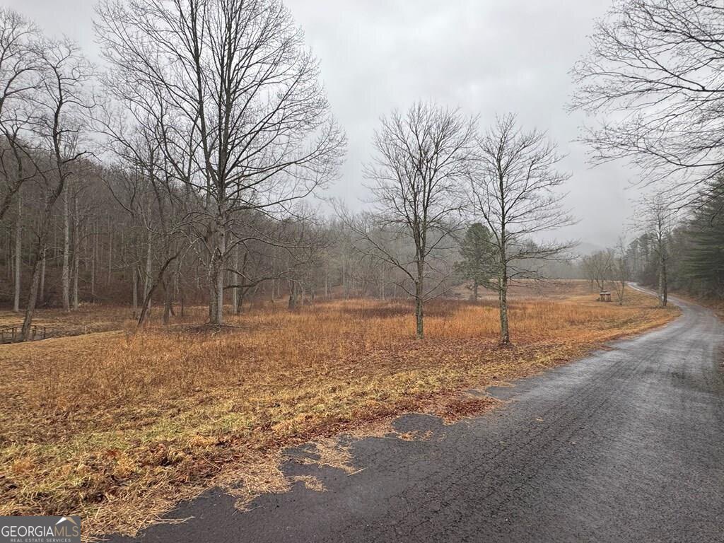 Lot 41 Whisper Woods Road, Unit 41 Hiawassee, GA 30546 - Photo 11 of 11