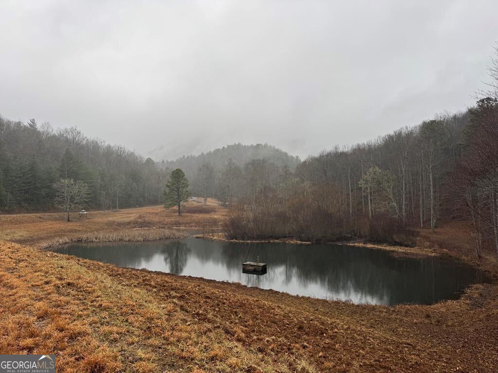 Lot 41 Whisper Woods Road, Unit 41 Hiawassee, GA 30546 - Photo 2 of 11