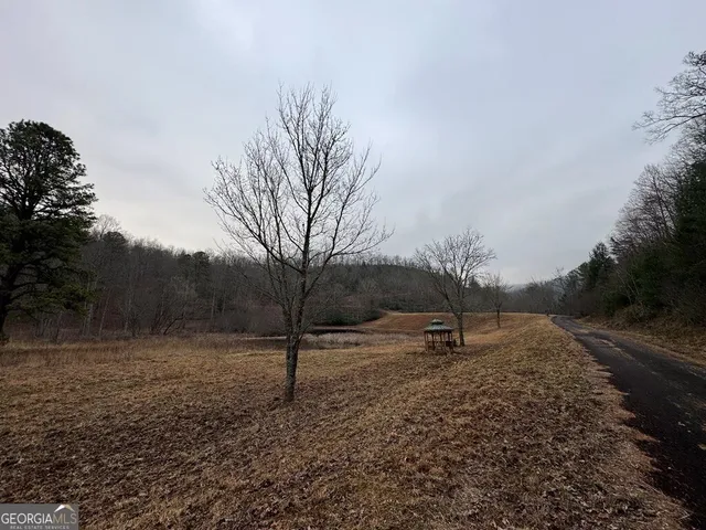 a view of backyard space