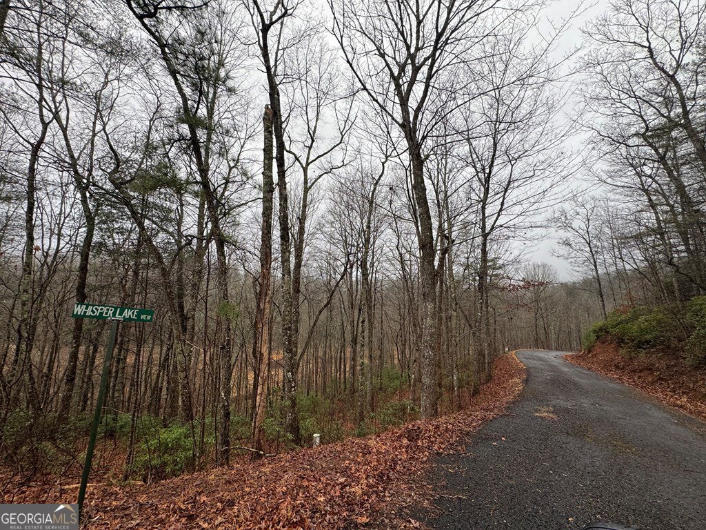 Lot 41 Whisper Woods Road, Unit 41 Hiawassee, GA 30546 - Photo 4 of 11