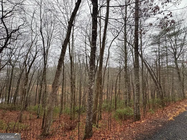 a view of a door with a small yard