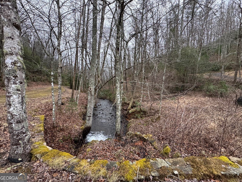 Lot 41 Whisper Woods Road, Unit 41 Hiawassee, GA 30546 - Photo 9 of 11