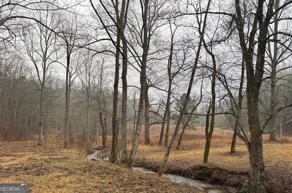 Lot 41 Whisper Woods Road, Unit 41 Hiawassee, GA 30546 - Photo 10 of 11