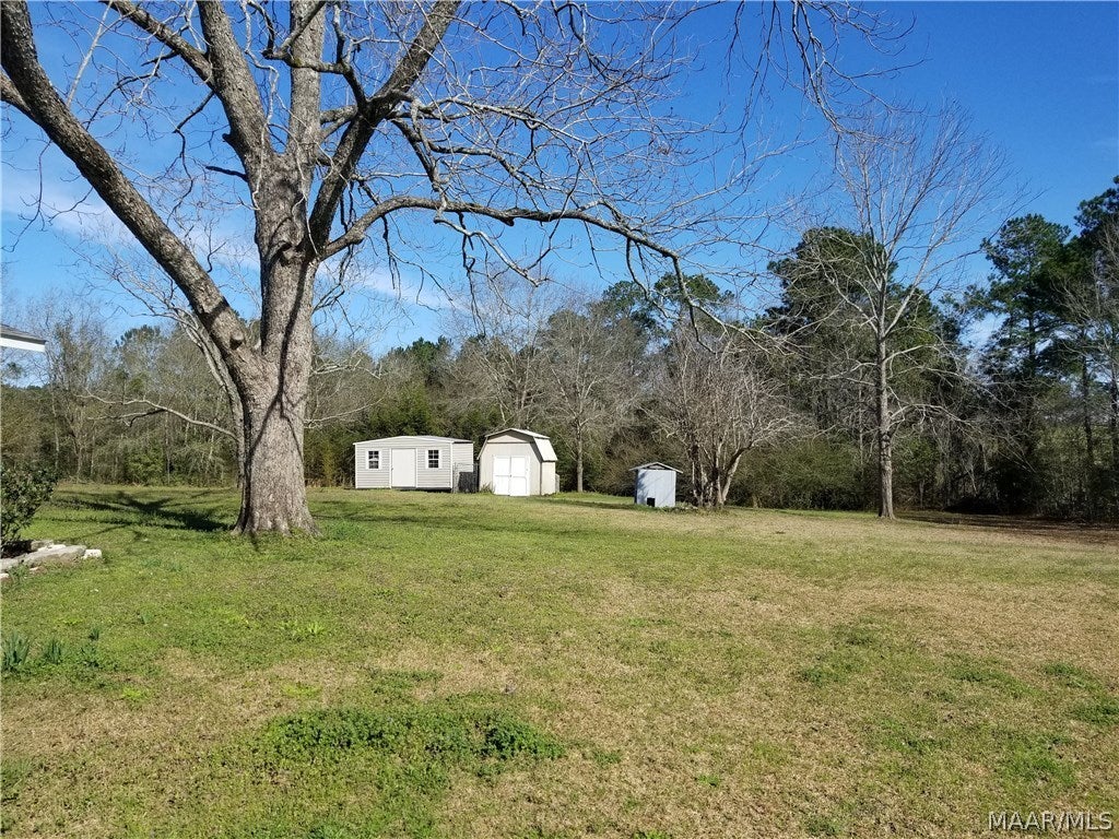 1402 Adkinson Road Newton, AL 36352 - Photo 2 of 15 Gallery Image 2