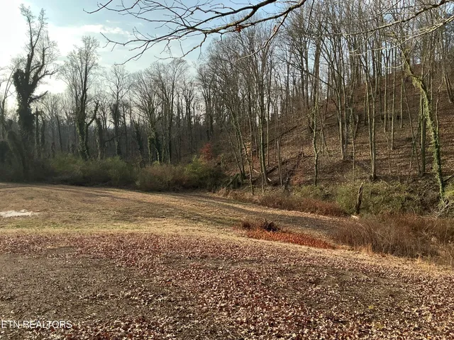 $749,500 | 8431 Rising Sun Drive, Corryton, TN 37721