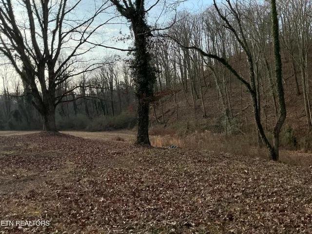 $749,500 | 8431 Rising Sun Drive, Corryton, TN 37721