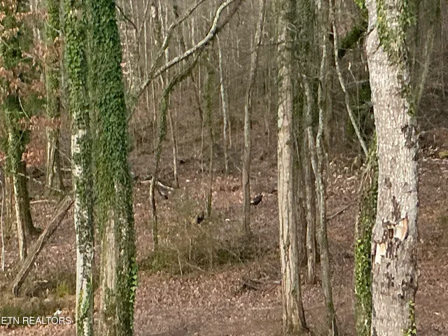 $749,500 | 8431 Rising Sun Drive, Corryton, TN 37721