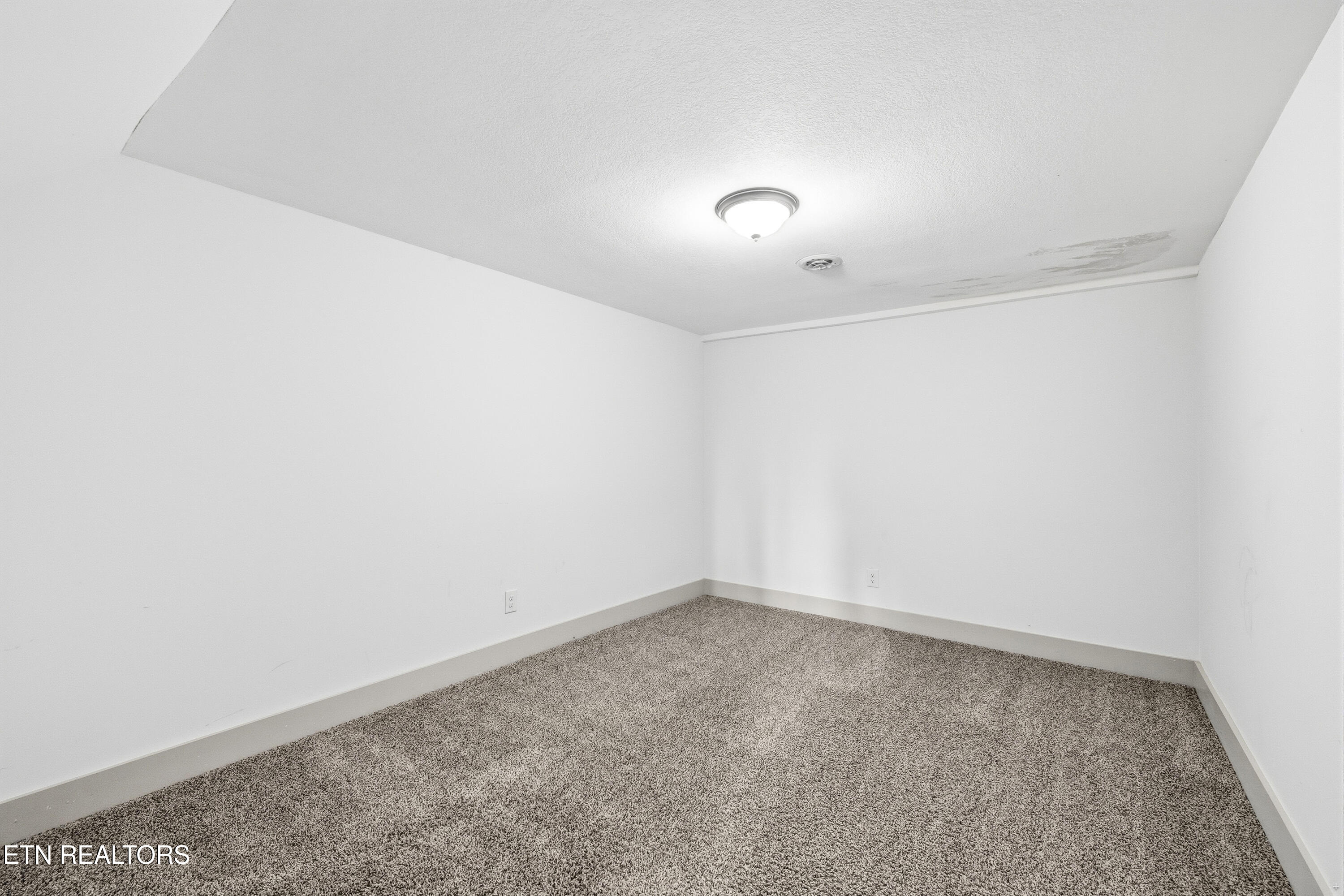 8431 Rising Sun Drive Corryton, TN 37721 - Photo 38 of 49 Positive Perceptions-34
