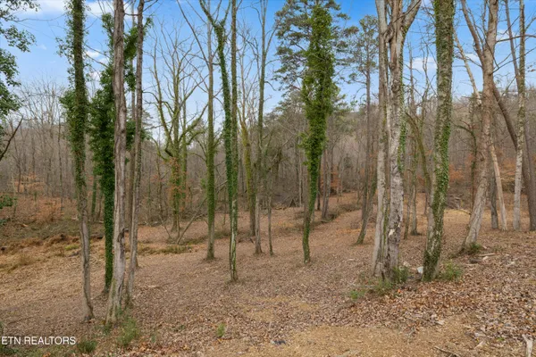 $739,900 | 8431 Rising Sun Drive, Corryton, TN 37721