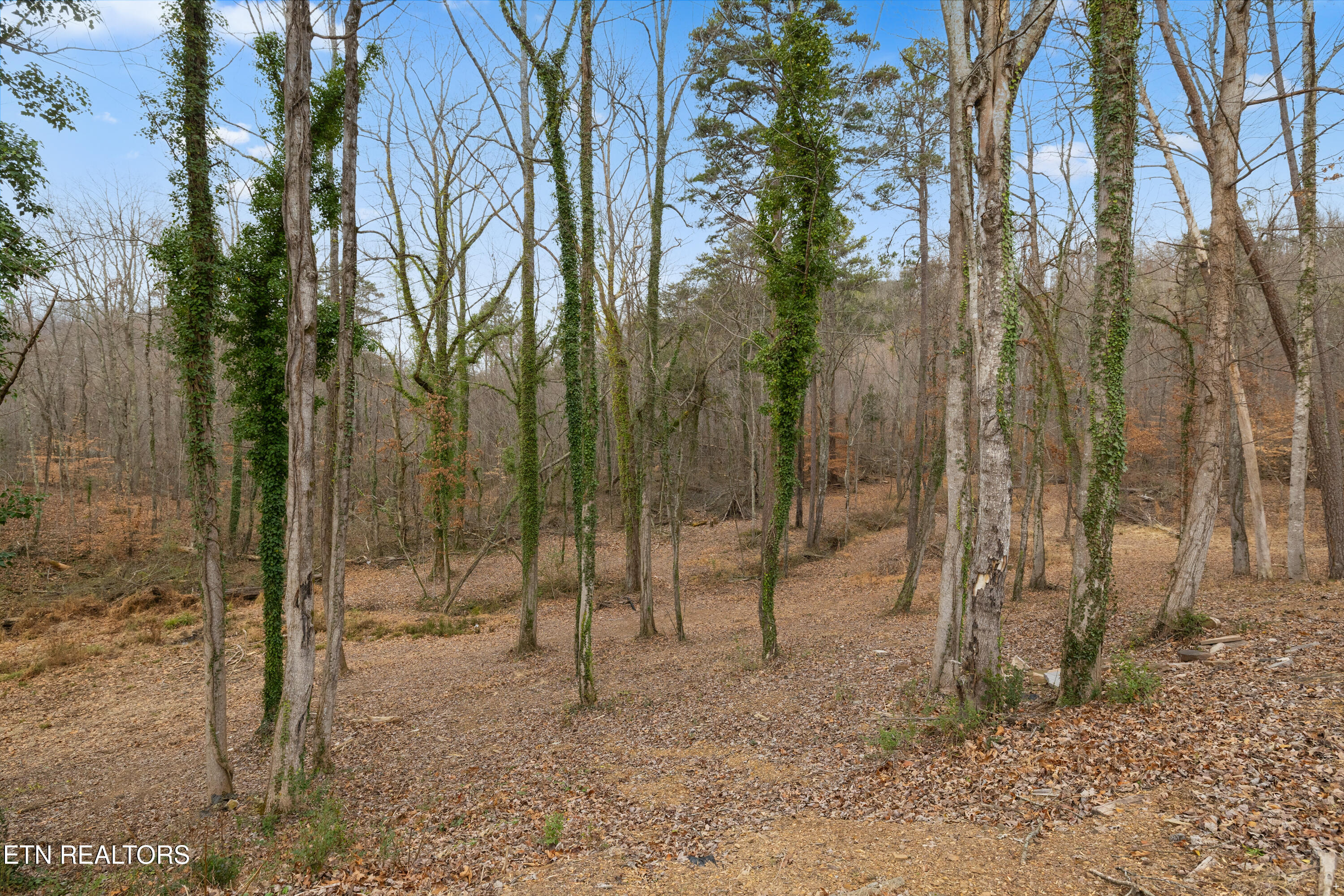 8431 Rising Sun Drive Corryton, TN 37721 - Photo 43 of 49 Positive Perceptions-41