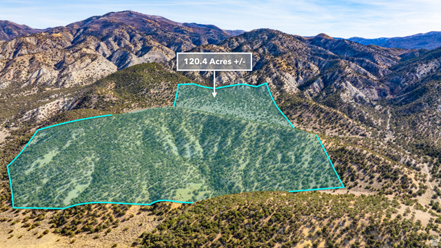 0 County Road 28 Levan, UT 84639 - Photo 120 of 207