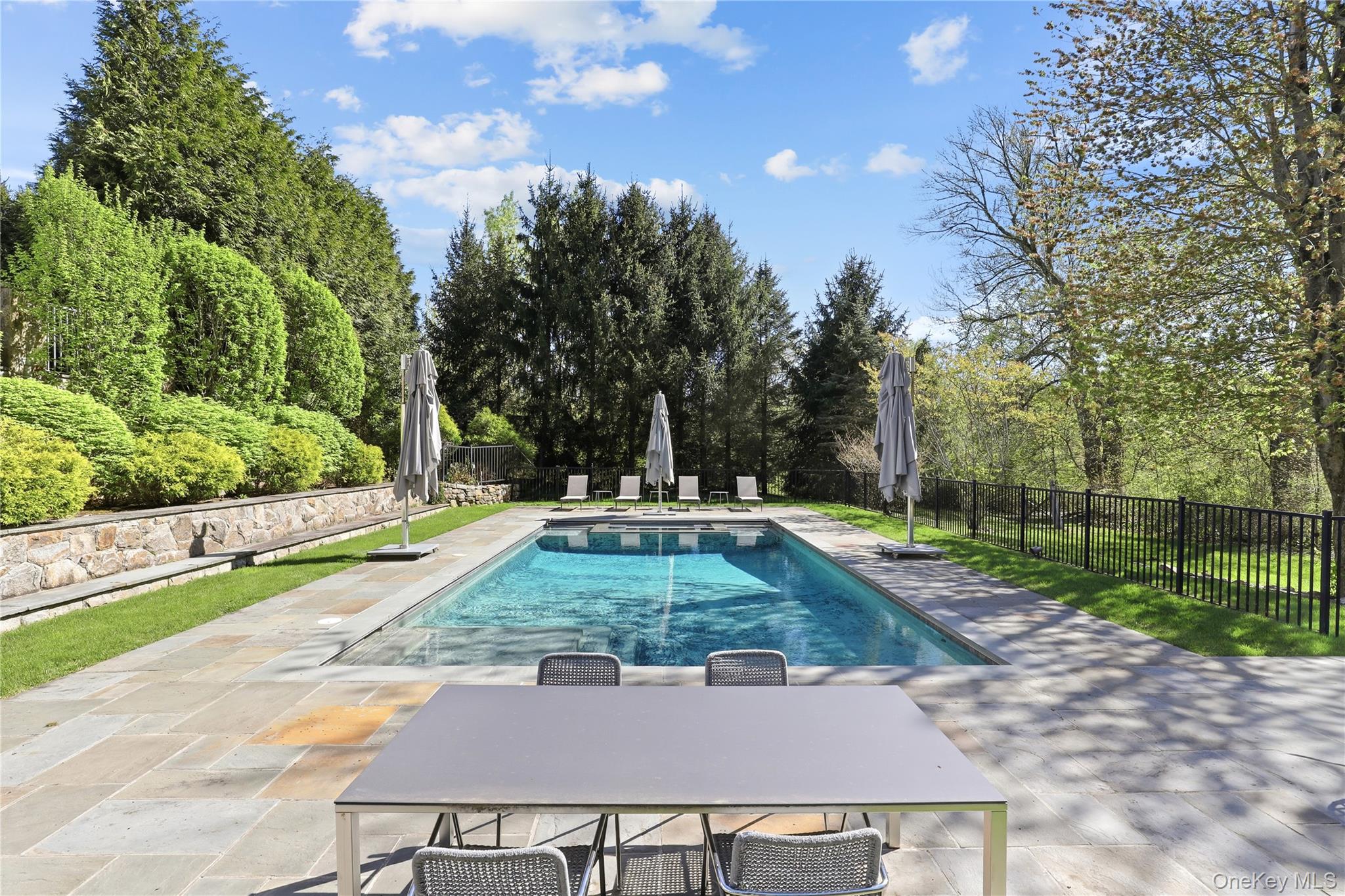 6 Stone Bridge Road Purchase, NY 10577 - Photo 3 of 45