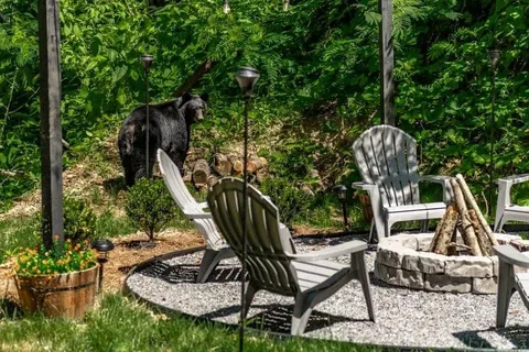 a view of a chairs and bench in the terrace