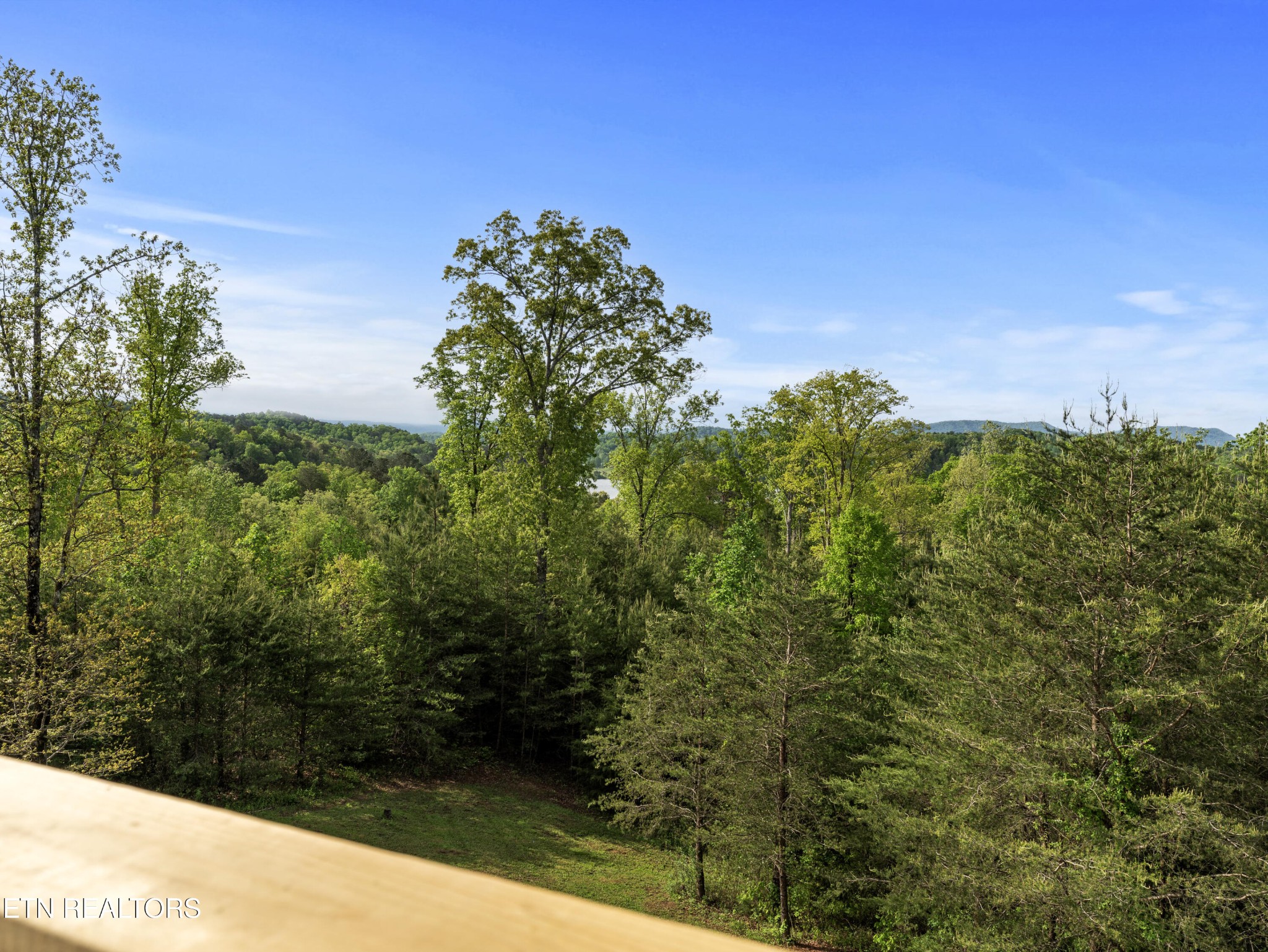155 George Thomas Road Vonore, TN 37885 - Photo 34 of 51 a view of a green yard