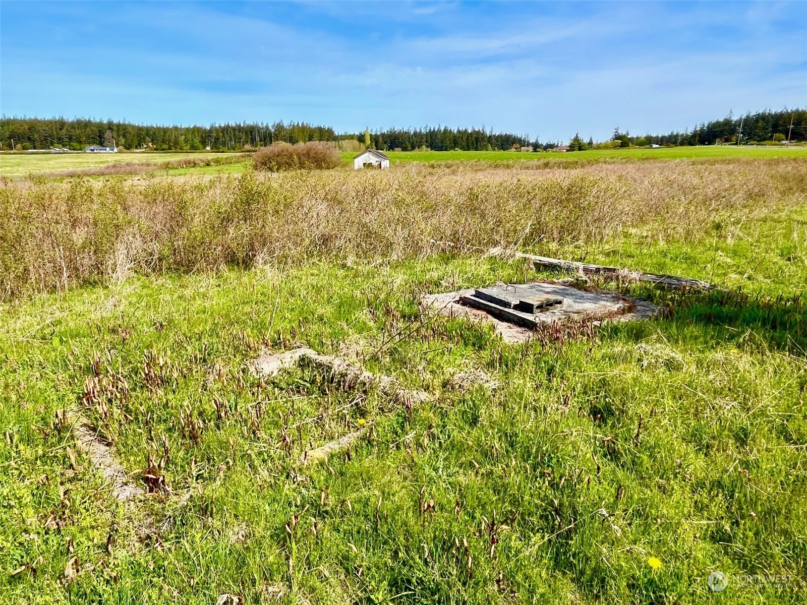 29727 State Rte 20 Oak Harbor, WA 98277 - Photo 11 of 35 Gallery Image 11