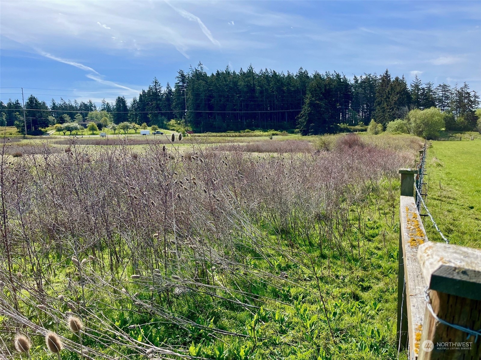 29727 State Rte 20 Oak Harbor, WA 98277 - Photo 19 of 35 Gallery Image 19