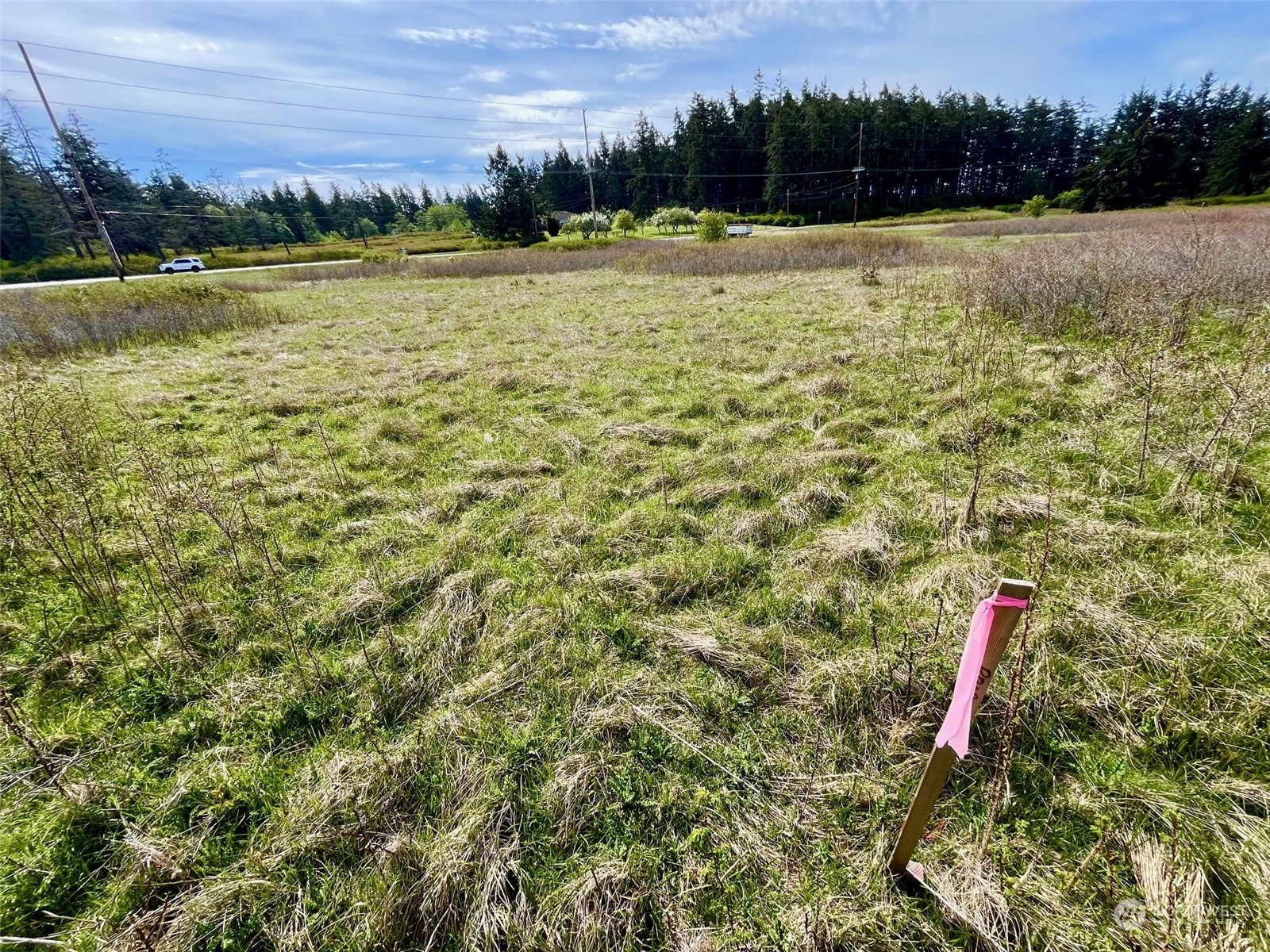 29727 State Rte 20 Oak Harbor, WA 98277 - Photo 25 of 35 Gallery Image 25