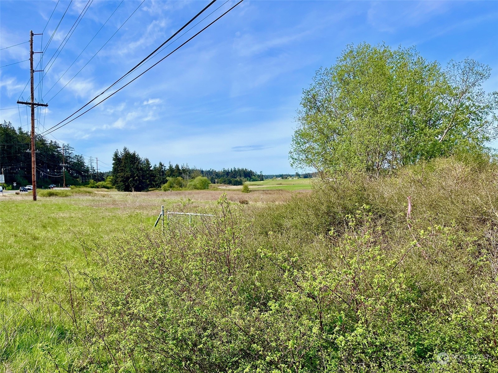 29727 State Rte 20 Oak Harbor, WA 98277 - Photo 28 of 35 Gallery Image 28