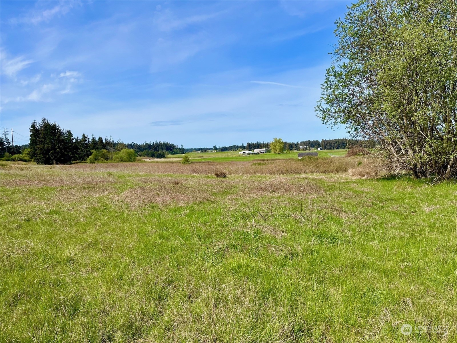29727 State Rte 20 Oak Harbor, WA 98277 - Photo 29 of 35 Gallery Image 29