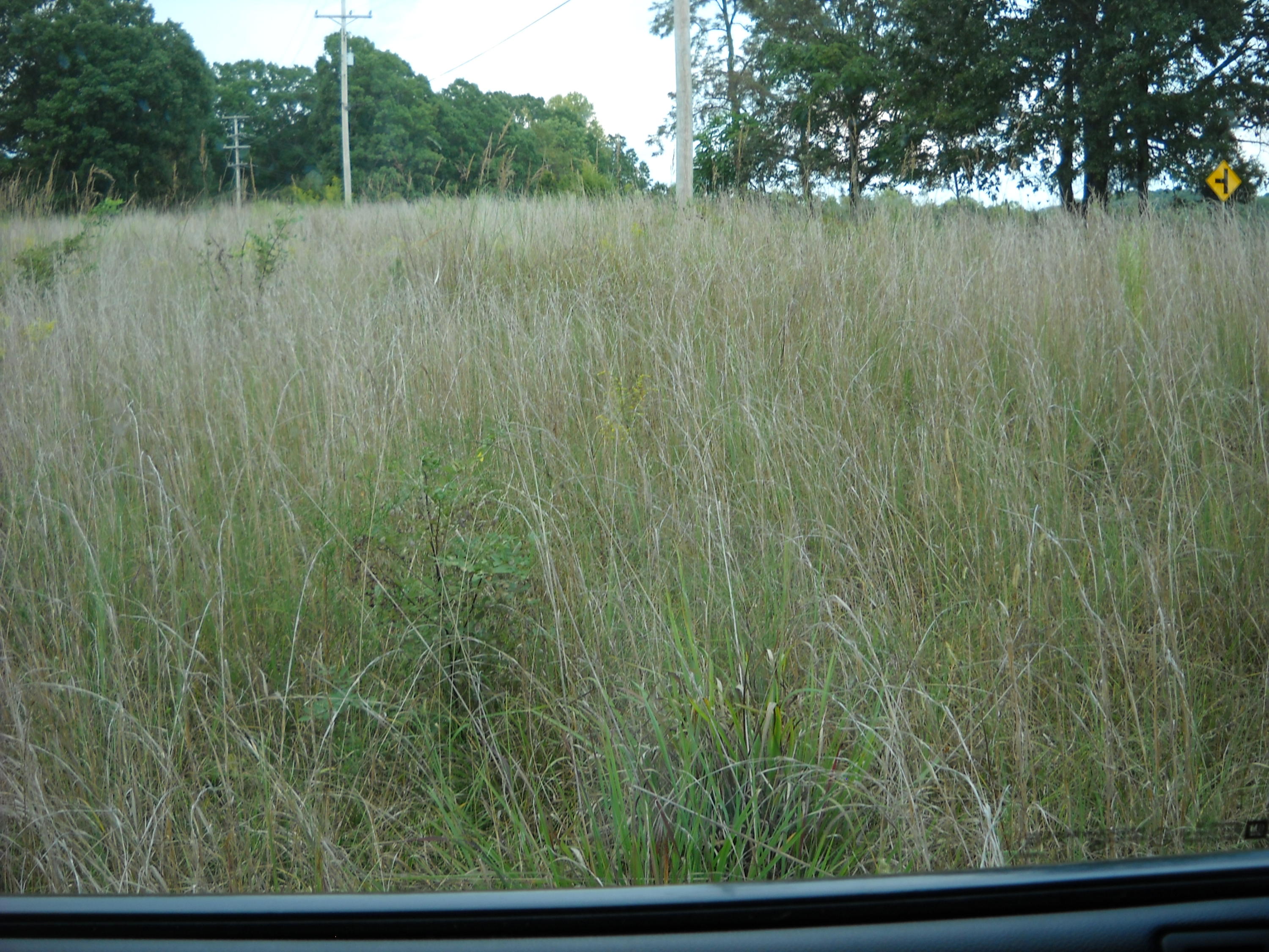 3201 Scruggs Road Moneta, VA 24121 - Photo 11 of 11 DSCN2379