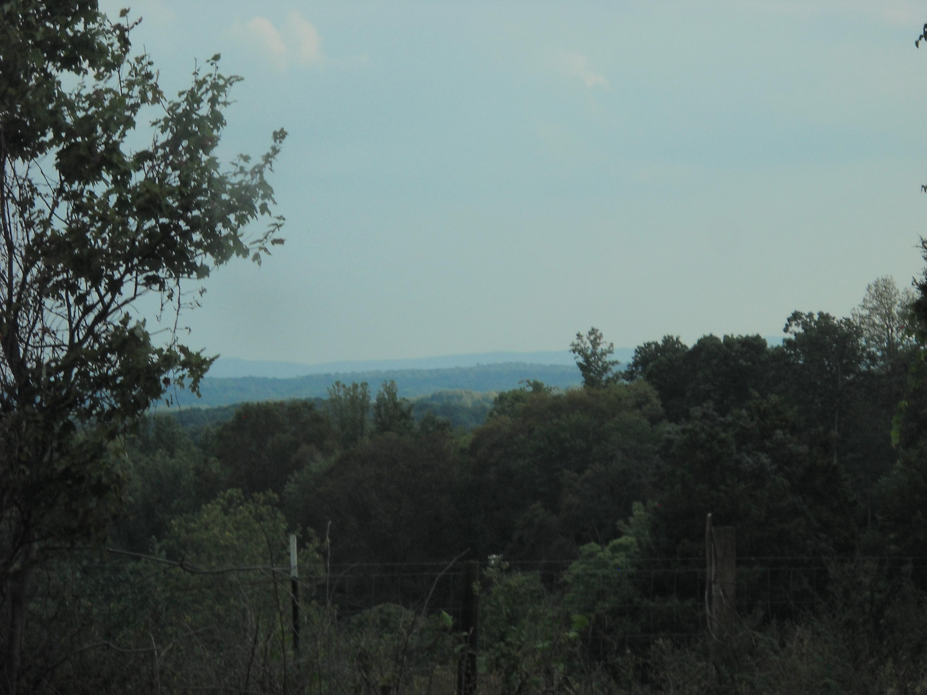 3201 Scruggs Road Moneta, VA 24121 - Photo 3 of 11 DSCN2389