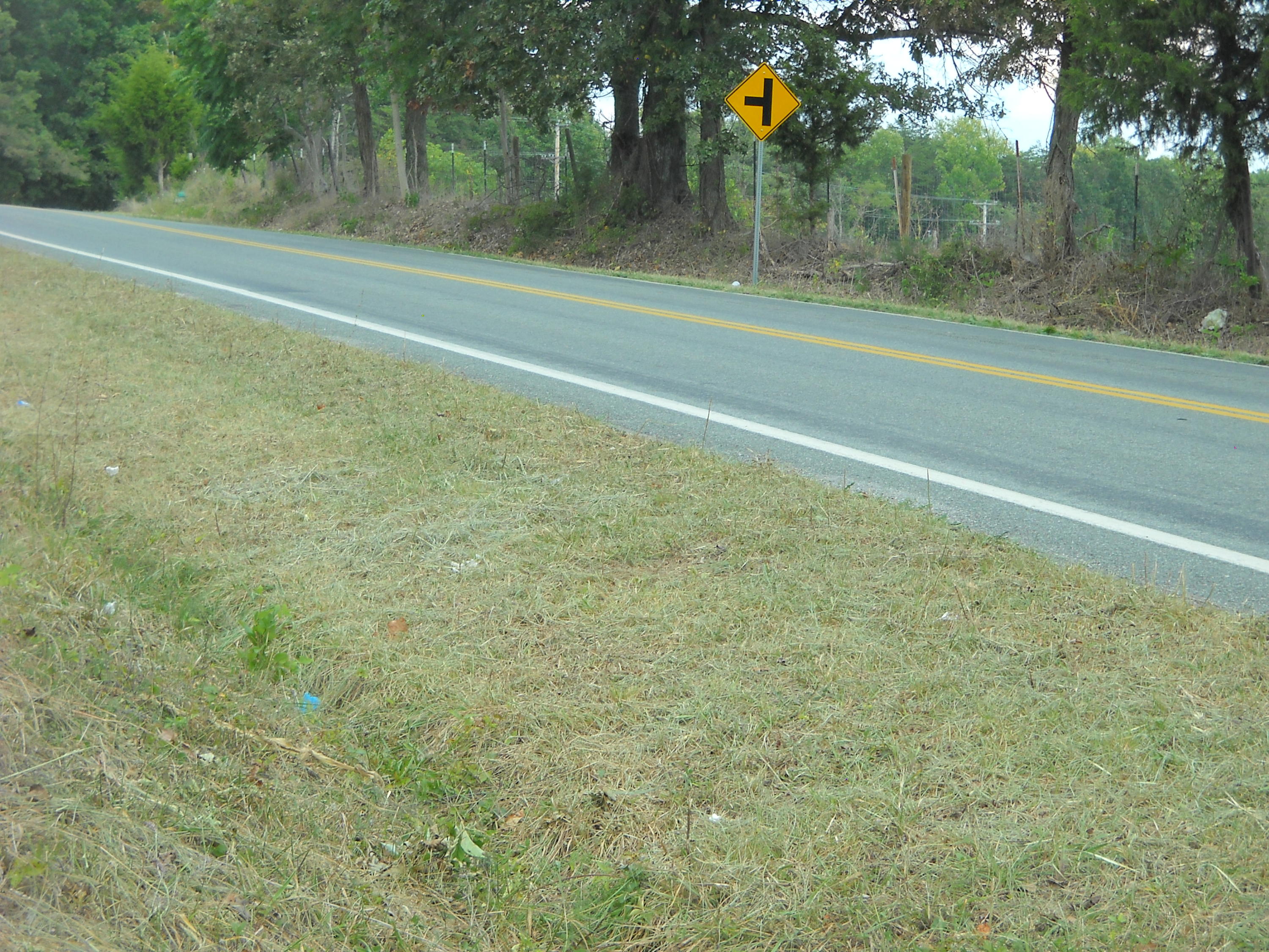 3201 Scruggs Road Moneta, VA 24121 - Photo 8 of 11 DSCN2390