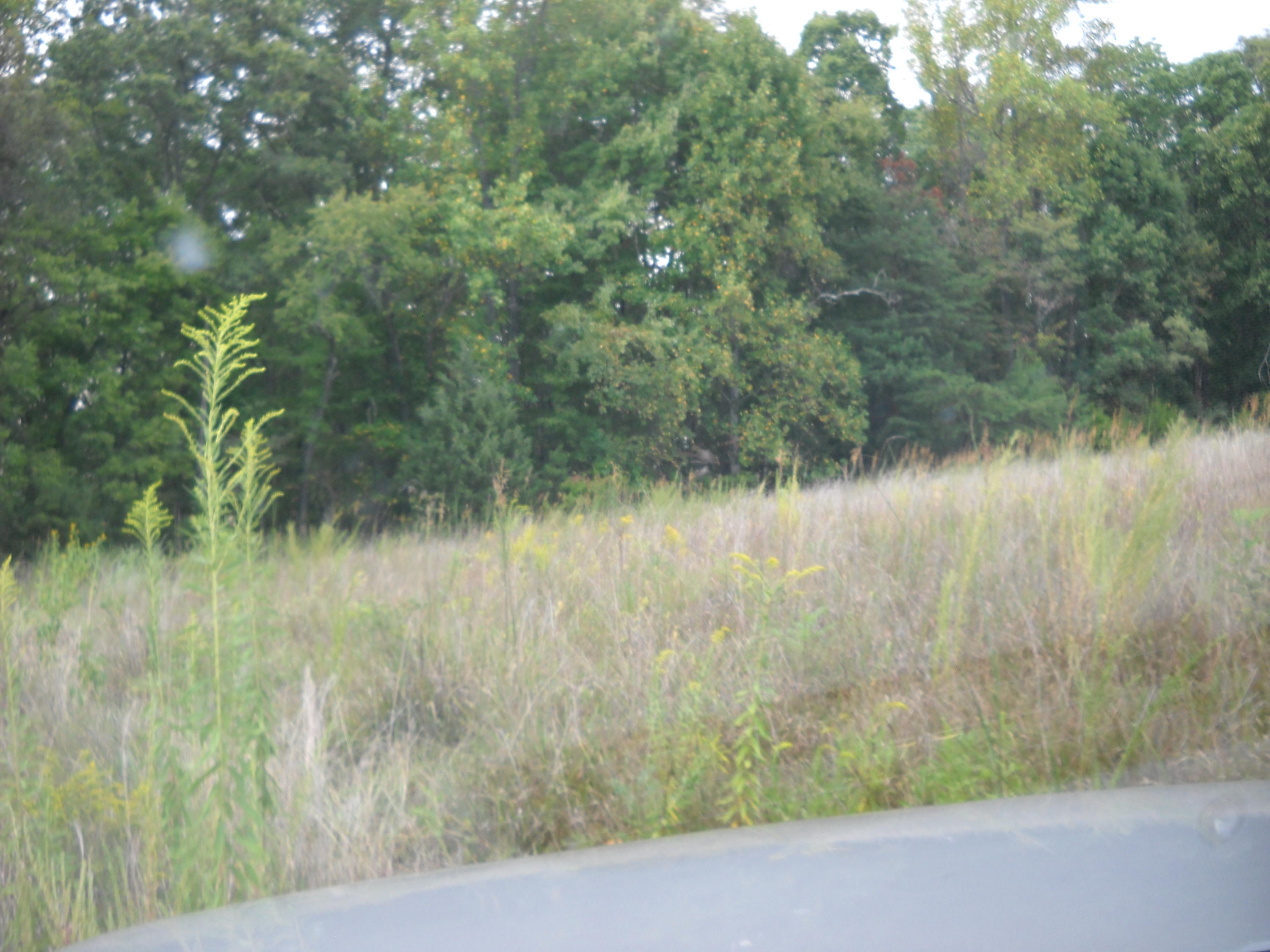 3201 Scruggs Road Moneta, VA 24121 - Photo 10 of 11 DSCN2380