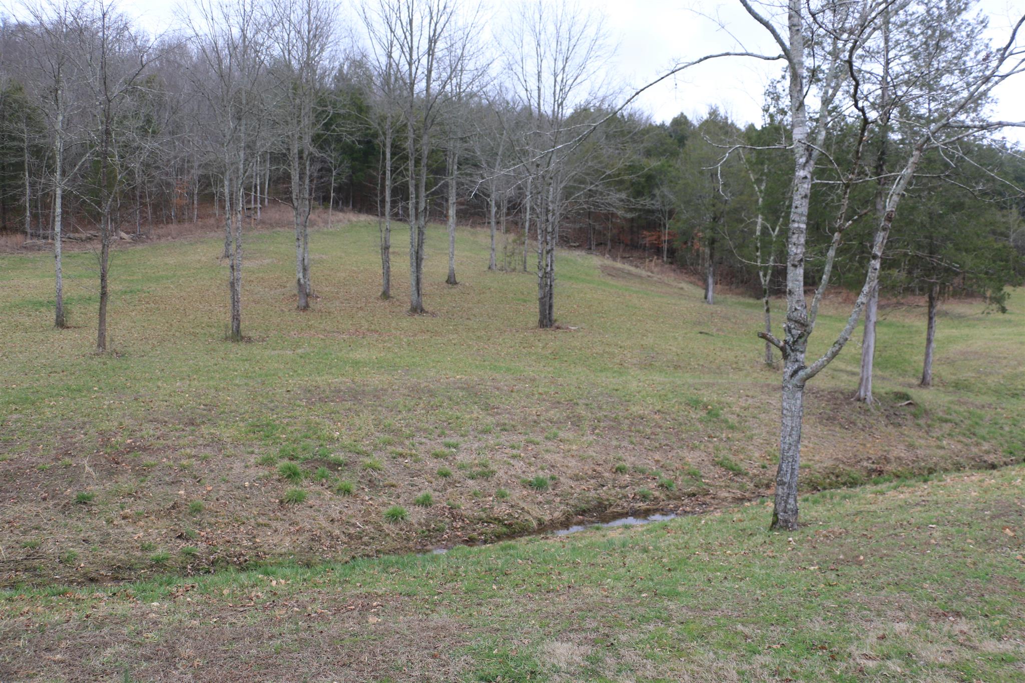 114 Young Hollow Road Pulaski, TN 38478 - Photo 3 of 30 Gallery Image 3