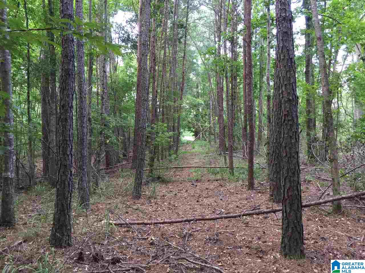 2364 Grants Mill Road Birmingham, AL 35210 - Photo 15 of 17