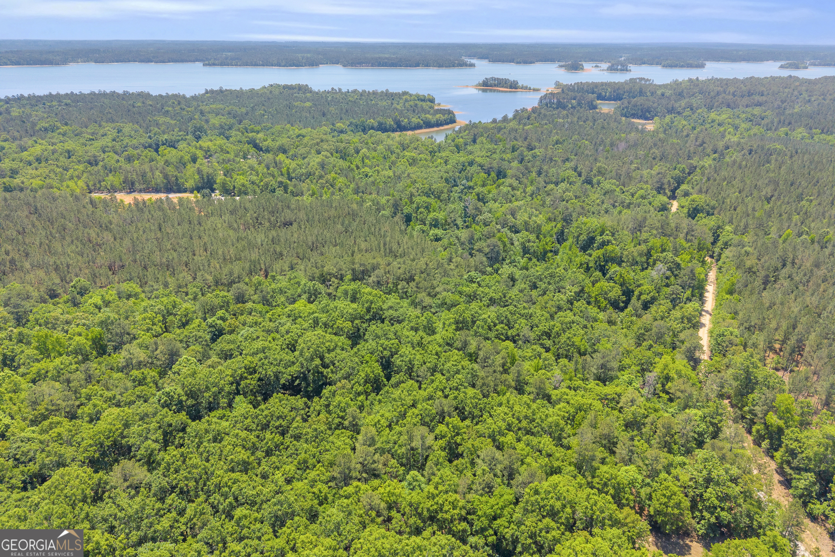 0 Hidden Harbor Road Lincolnton, GA 30817 - Photo 47 of 58