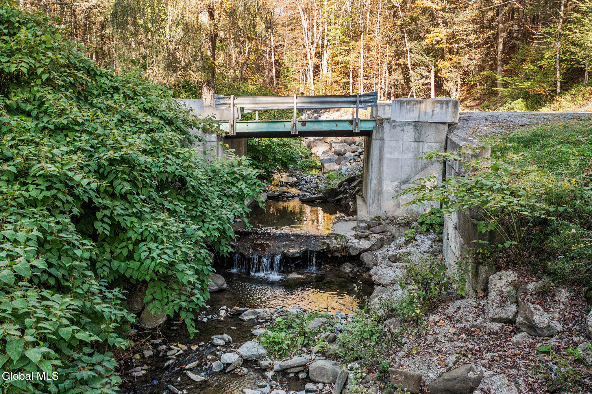 243 Brooky Hollow Road Middleburgh, NY 12122 - Photo 16 of 16 FS_LT_100125_0048