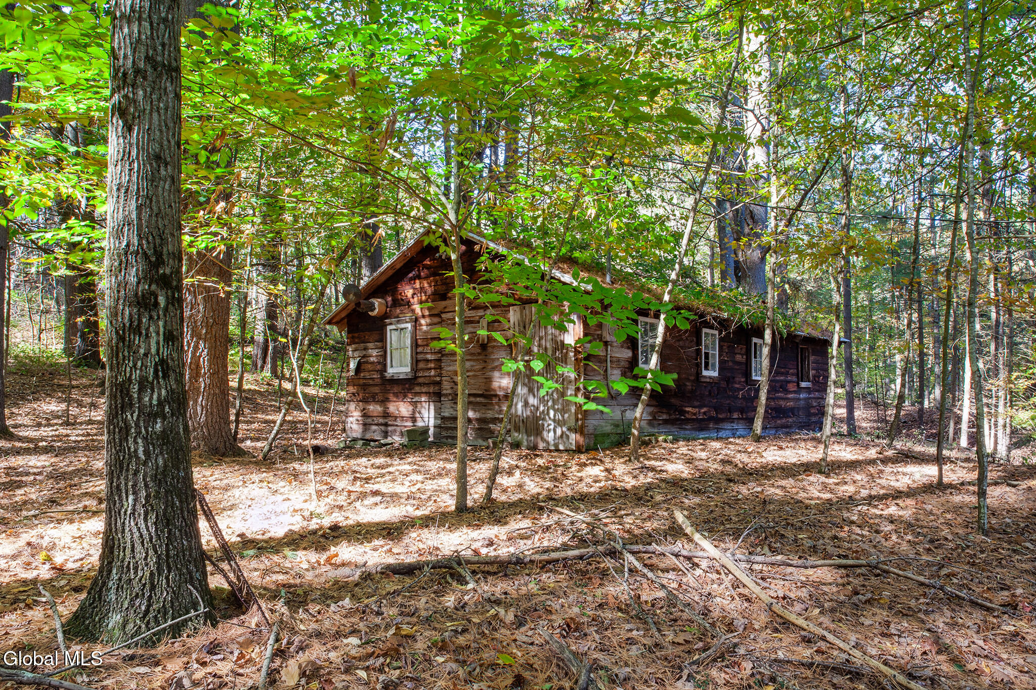 243 Brooky Hollow Road Middleburgh, NY 12122 - Photo 4 of 16 FS_LT_100125_0001