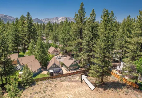 a view of a yard with large trees