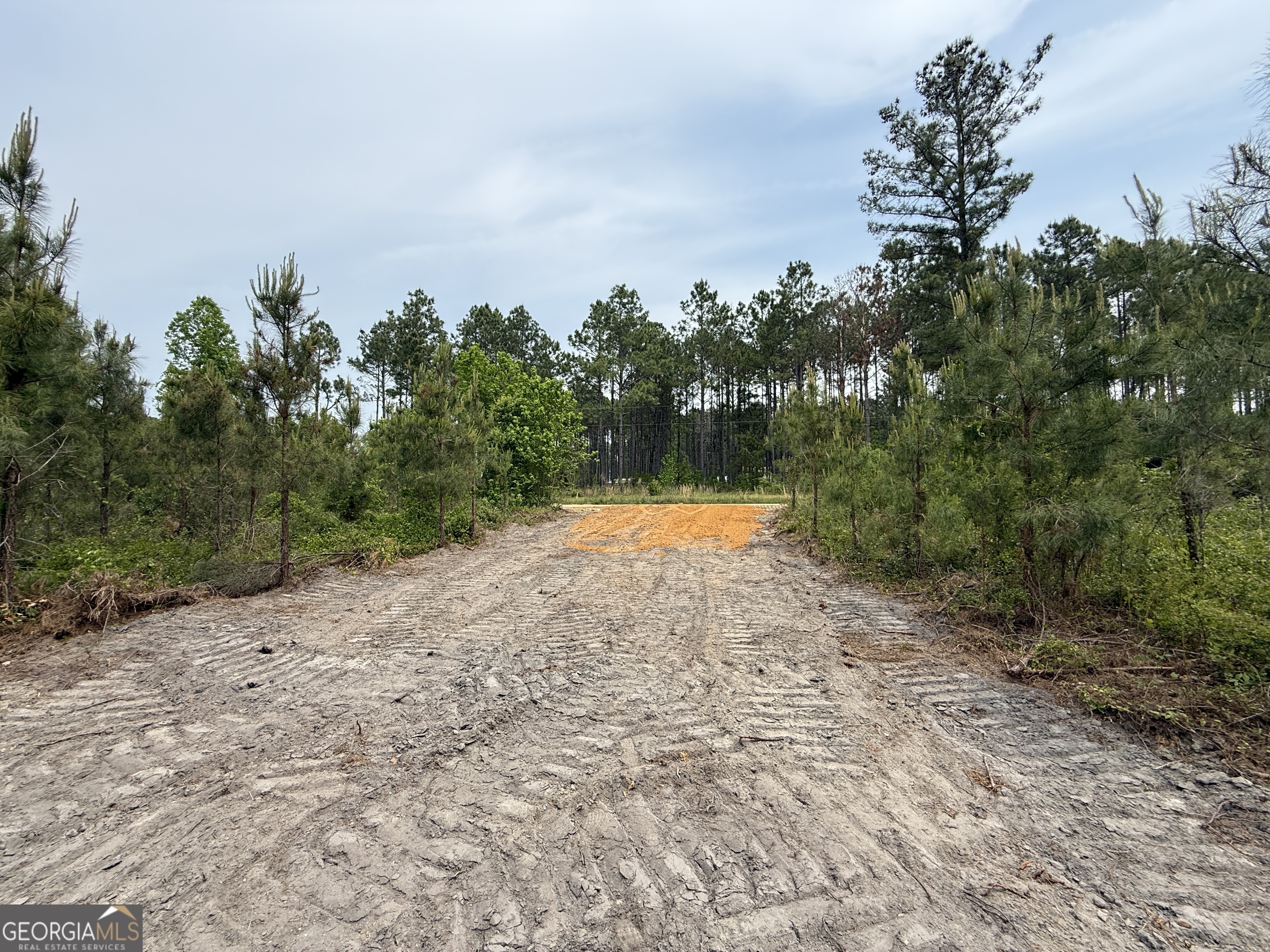 14 Graham Lane Cadwell, GA 31009 - Photo 4 of 12